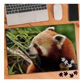 3508153 Ağaçtaki Kızıl Tilki 240 Parça Puzzle Yapboz