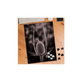 3519413 Fesçidikeni Bitki 240 Parça Puzzle Yapboz