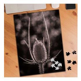 3519413 Fesçidikeni Bitki 240 Parça Puzzle Yapboz