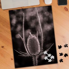 3519413 Fesçidikeni Bitki 240 Parça Puzzle Yapboz