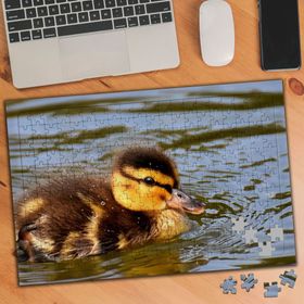3524390 Gölde Keyif Yapan Ördek 240 Parça Puzzle Yapboz