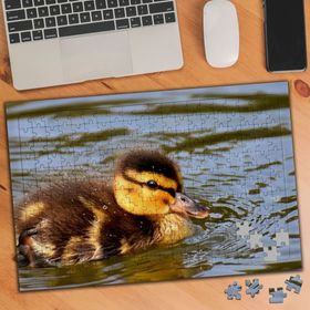 3524390 Gölde Keyif Yapan Ördek 240 Parça Puzzle Yapboz