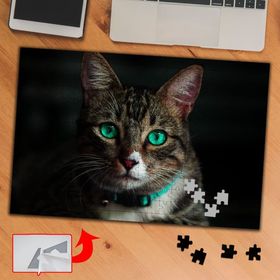 3674 Yeşil Gözlü Sevimli Kedi 240 Parça Puzzle Yapboz Tablo