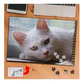 3680 Yeşil Mavi Gözlü Beyaz Kedi 240 Parça Puzzle Yapboz Tablo