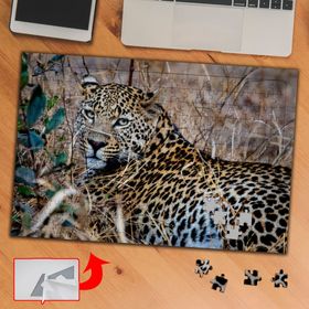 3681 Pars Uzanan Leopar 240 Parça Puzzle Yapboz Tablo