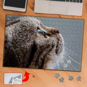 3684 Gökyüzüne Bakan Tatlı Kedi 240 Parça Puzzle Yapboz Tablo