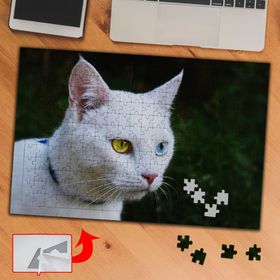 3689 Mavi Yeşil Gözlü Van Kedisi 240 Parça Puzzle Yapboz Tablo