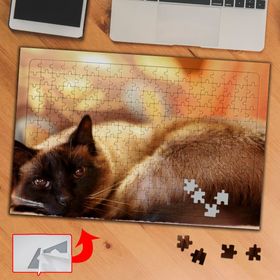 3691 Kara Yüzlü Sarı Kedi 240 Parça Puzzle Yapboz Tablo