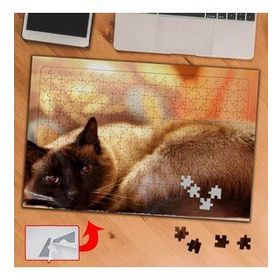 3691 Kara Yüzlü Sarı Kedi 240 Parça Puzzle Yapboz Tablo