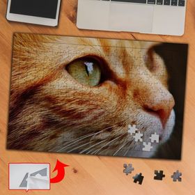 3695 Sarıbacak Yeşil Gözlü Kedi 240 Parça Puzzle Yapboz Tablo