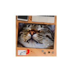 3696 Dişli Uyuyan Kedi 240 Parça Puzzle Yapboz Tablo