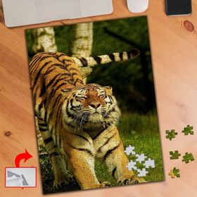 3698 Esneyen Vahşi Kaplan 240 Parça Puzzle Yapboz Tablo