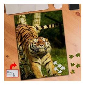 3698 Esneyen Vahşi Kaplan 240 Parça Puzzle Yapboz Tablo