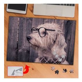 3712 Fularlı Gözlüklü Köpek 240 Parça Puzzle Yapboz Tablo