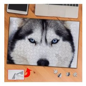 3718 Sibirya Kurdu Hayvan 240 Parça Puzzle Yapboz Tablo