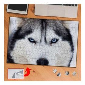 3718 Sibirya Kurdu Hayvan 240 Parça Puzzle Yapboz Tablo
