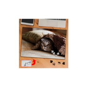 3740 Battaniye Altında Küçük Kedi 240 Parça Puzzle Yapboz Tablo