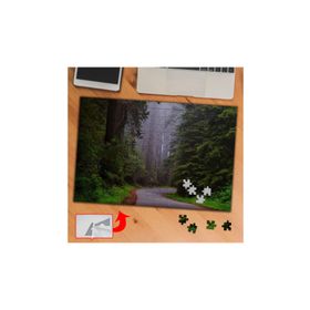 3741 Sık Ağaçlı Orman Yolu 240 Parça Puzzle Yapboz Tablo