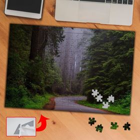 3741 Sık Ağaçlı Orman Yolu 240 Parça Puzzle Yapboz Tablo