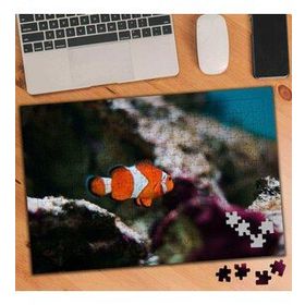 384933 Yalnız Balık Turuncu Nemo 240 Parça Puzzle Yapboz