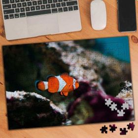 384933 Yalnız Balık Turuncu Nemo 240 Parça Puzzle Yapboz