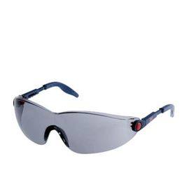 3M 2741 Gri Koruyucu Gözlük