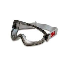 3M 2890A Koruyucu Gözlük