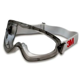 3M 2890A Koruyucu Gözlük