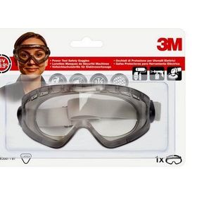 3M 2890S Koruyucu Gözlük
