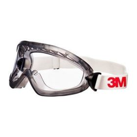 3M 2890SA Koruyucu Gözlük