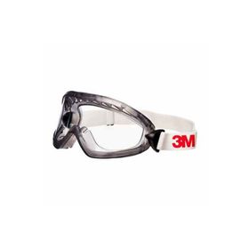 3M 2890SA Koruyucu Gözlük