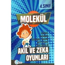 4. Sınıf Akıl ve Zeka Oyunları Molekül Yayınları