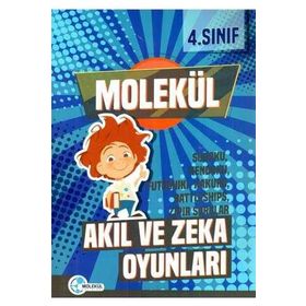 4. Sınıf Akıl ve Zeka Oyunları Molekül Yayınları