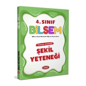 4. Sınıf Bilsem Şekil Yeteneği Tamamı Çözümlü - Data Yayınları