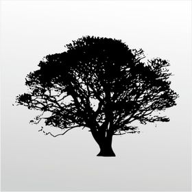 40 cm Ağaç Folyo Sticker