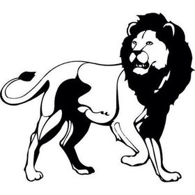 40 cm Aslan Lion Folyo Sticker