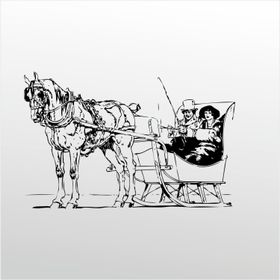 40 cm At Arabası Folyo Sticker