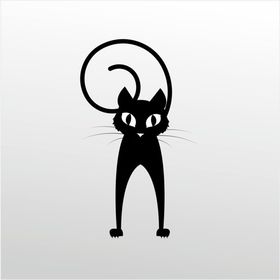 40 cm Folyo Şaşkın Kedi Sticker
