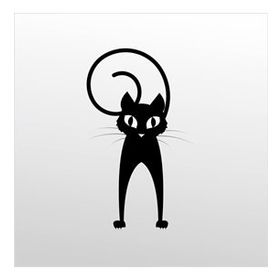 40 cm Folyo Şaşkın Kedi Sticker