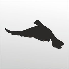 40 cm Güvercin Folyo Sticker