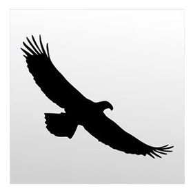 40 cm Kartal Folyo Sticker