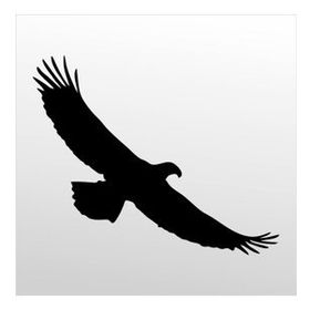 40 cm Kartal Folyo Sticker