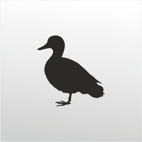 40 cm Ördek Folyo Sticker