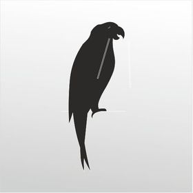 40 cm Papağan Folyo Sticker