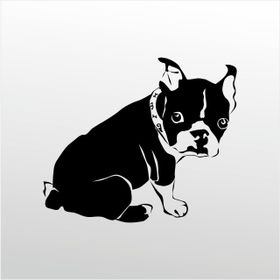 40 cm Yavru Köpek Folyo Sticker