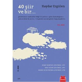 40 Şiir ve Bir - Haydar Ergülen