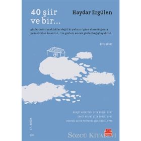 40 Şiir ve Bir - Haydar Ergülen