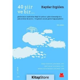 40 Şiir ve Bir - Haydar Ergülen