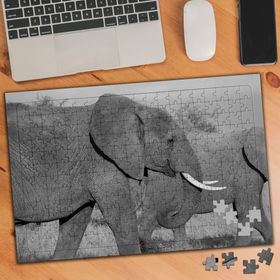 402517 Siyah Beyaz Fil Sürüsü 240 Parça Puzzle Yapboz