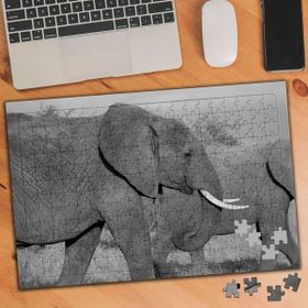 402517 Siyah Beyaz Fil Sürüsü 240 Parça Puzzle Yapboz